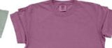 Cozy Goose Tee-Shirt